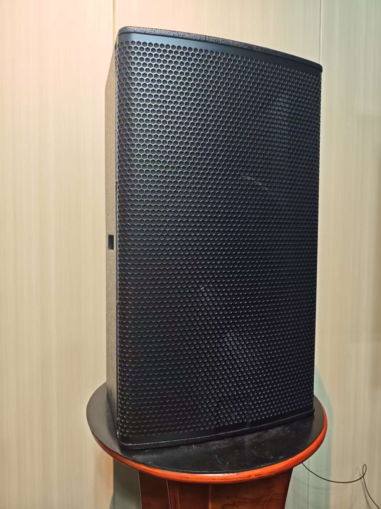 12-Inch Wooden Active Speaker  – Outdoor Power Direct Bewertung und Preis