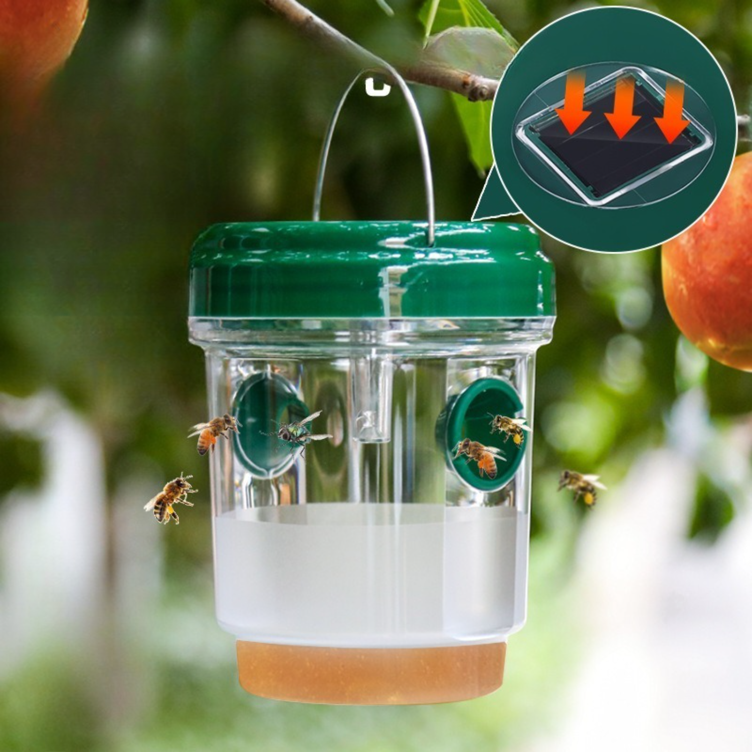 1-6PCS Solar Wasp Trap Waterpr – Outdoor Power Outlet Solar Bewertung und Preis
